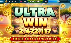 55933bet