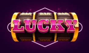 55933bet